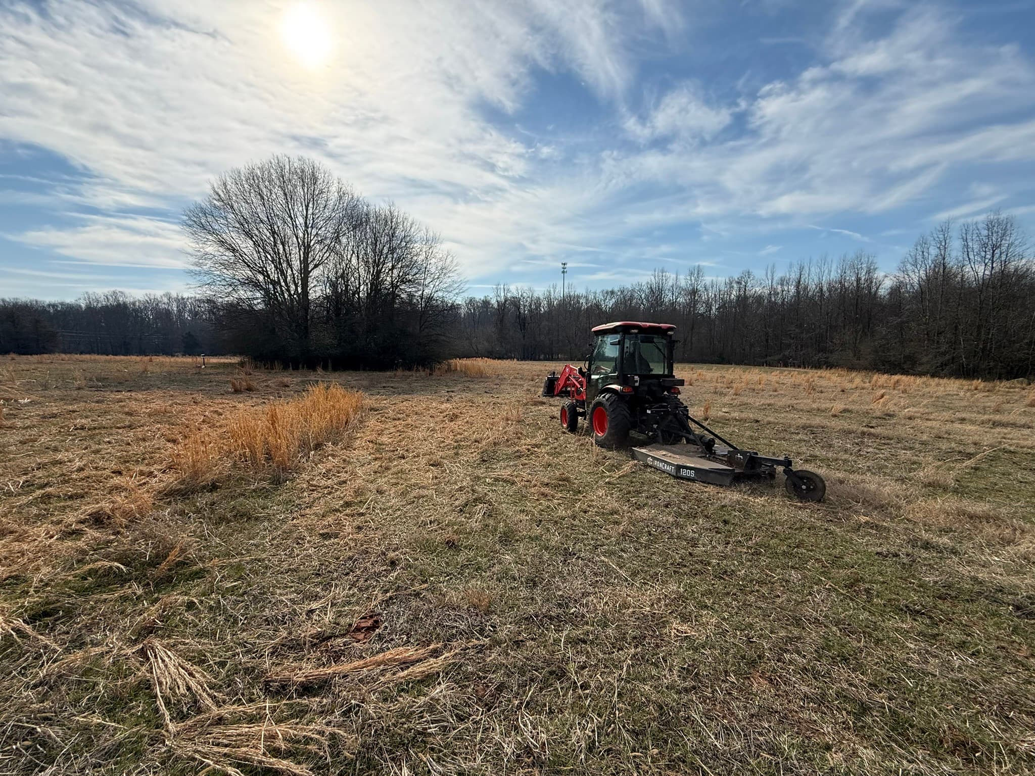 Reclaimed pasture in Upstate South Carolina after clearing and brush hogging