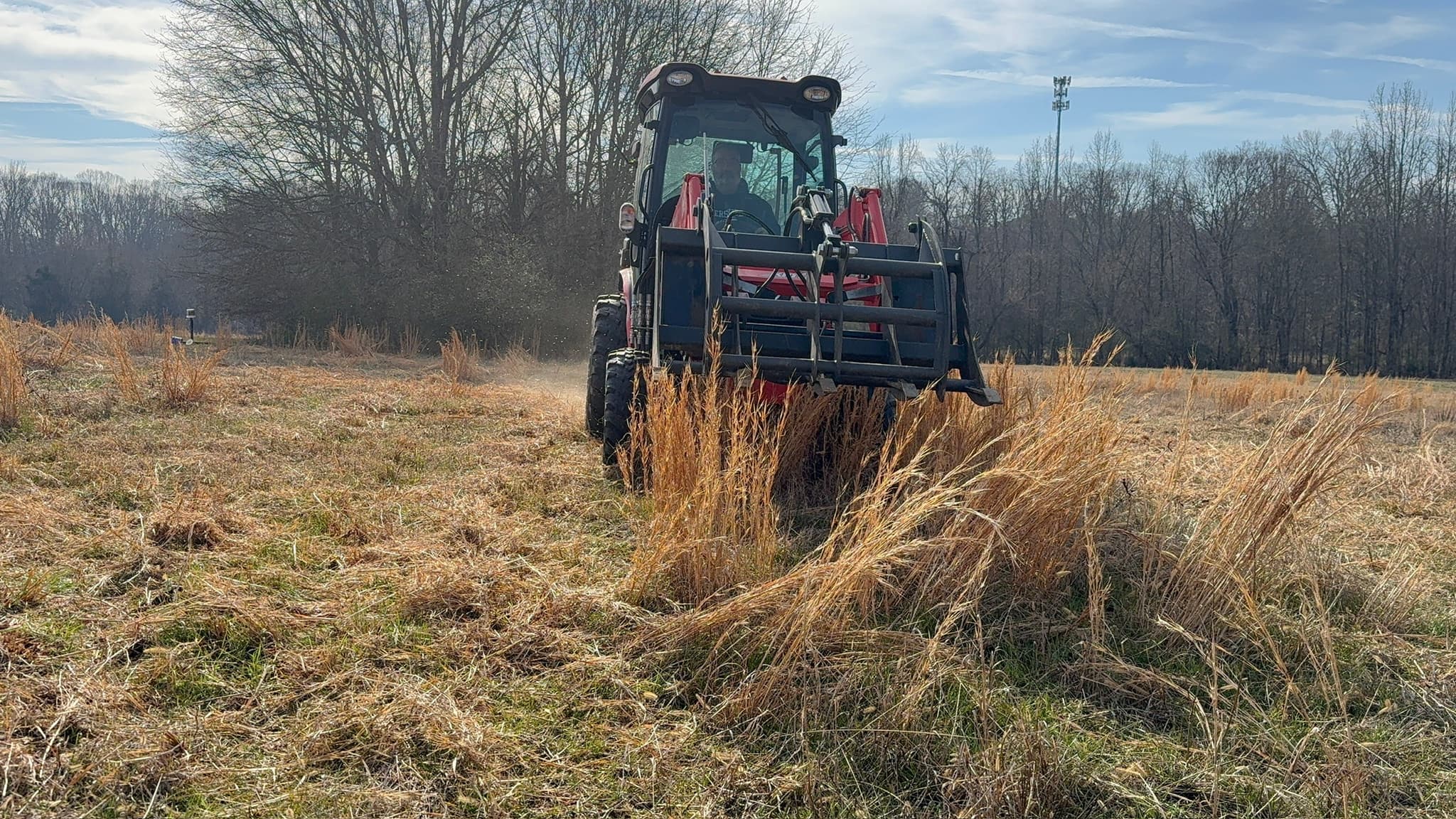 Five acres of overgrown land in Upstate South Carolina before clearing