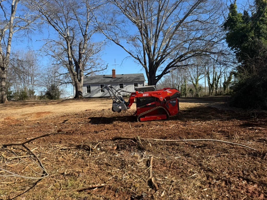 After — Lot clearing for new construction