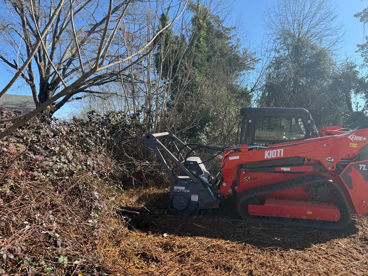 Overgrown Upstate SC property before choosing between land clearing and forestry mulching