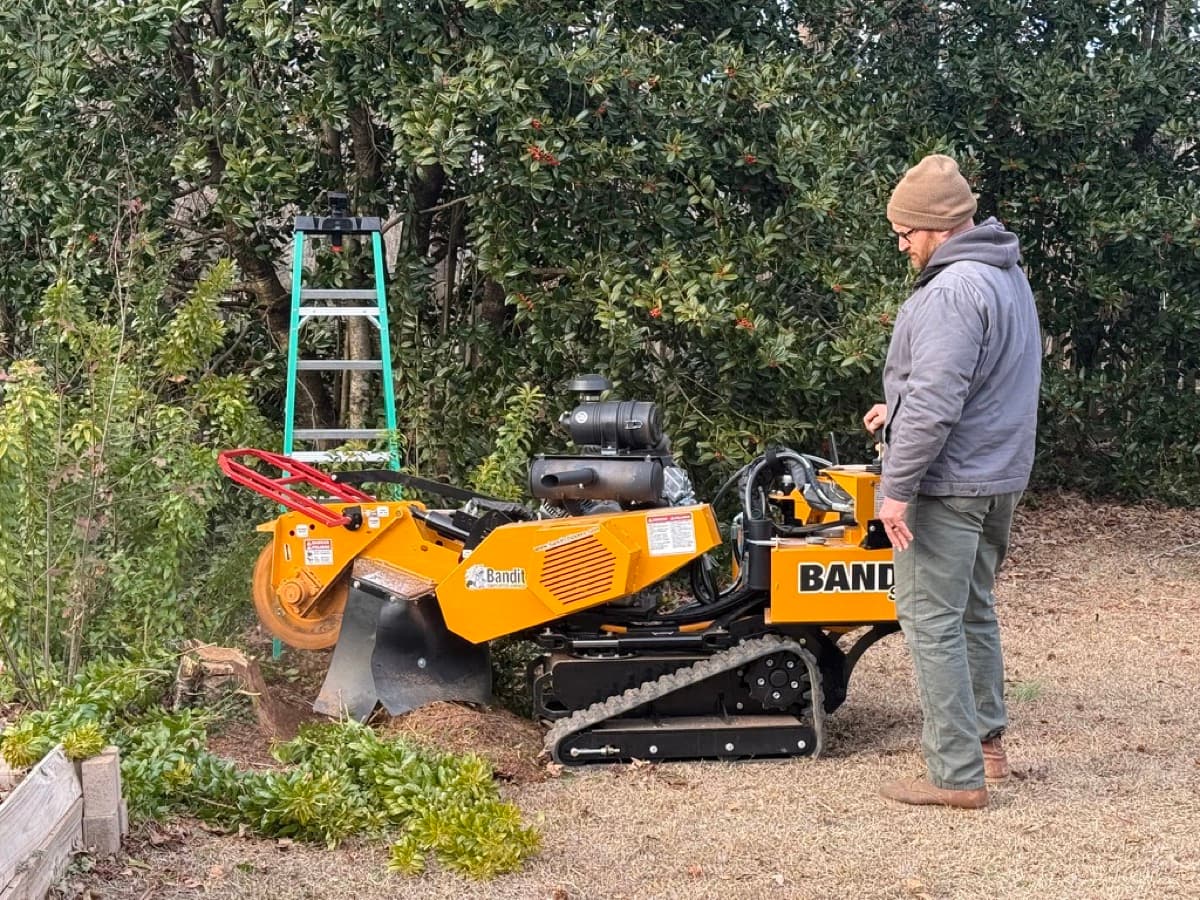 Lawn restoration after stump grinding - filling the hole and planting grass