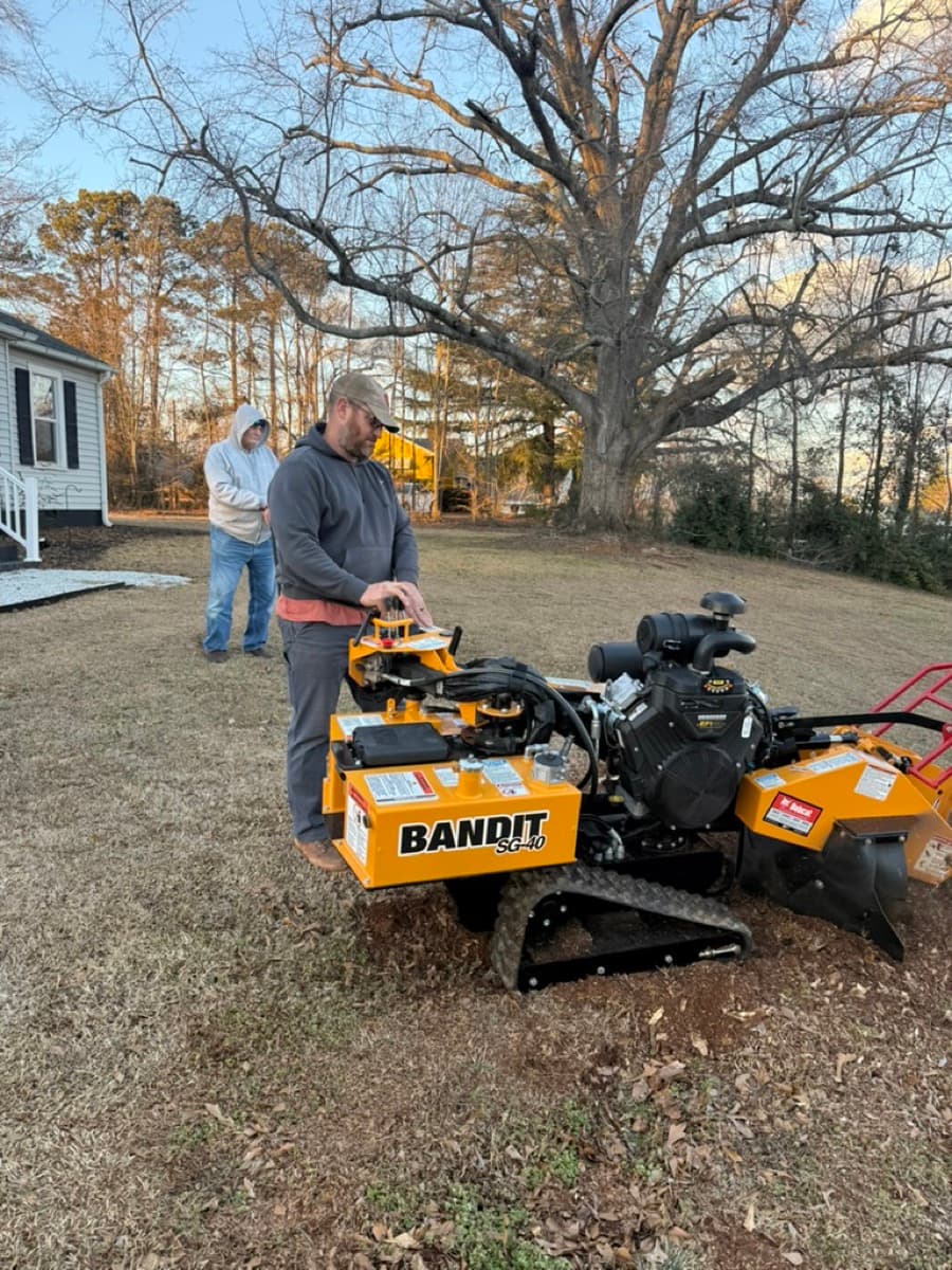 Best Time of Year for Stump Grinding in South Carolina