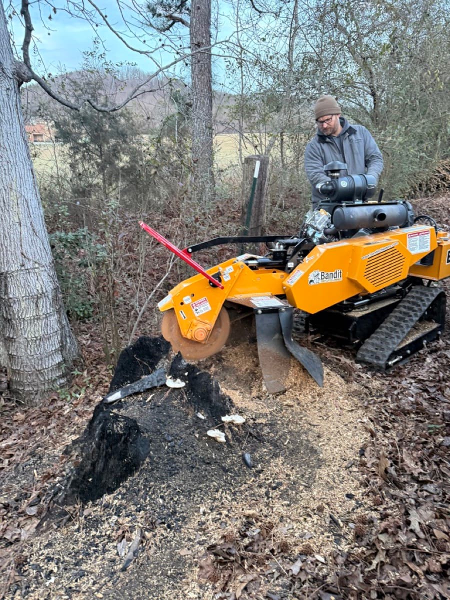 Professional stump grinding in progress - time estimates for Upstate SC
