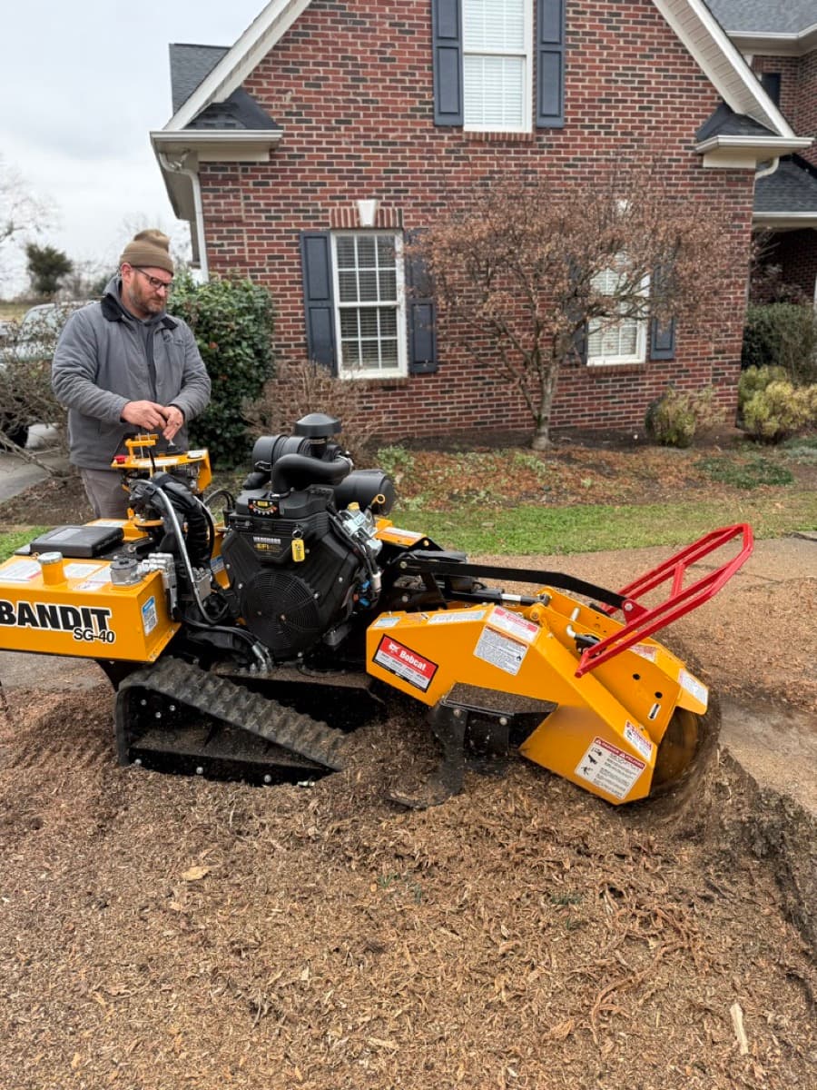 Overgrown property needing land clearing services in Upstate South Carolina