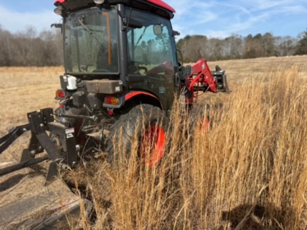 Compact track equipment clearing an overgrown residential lot in Upstate South Carolina