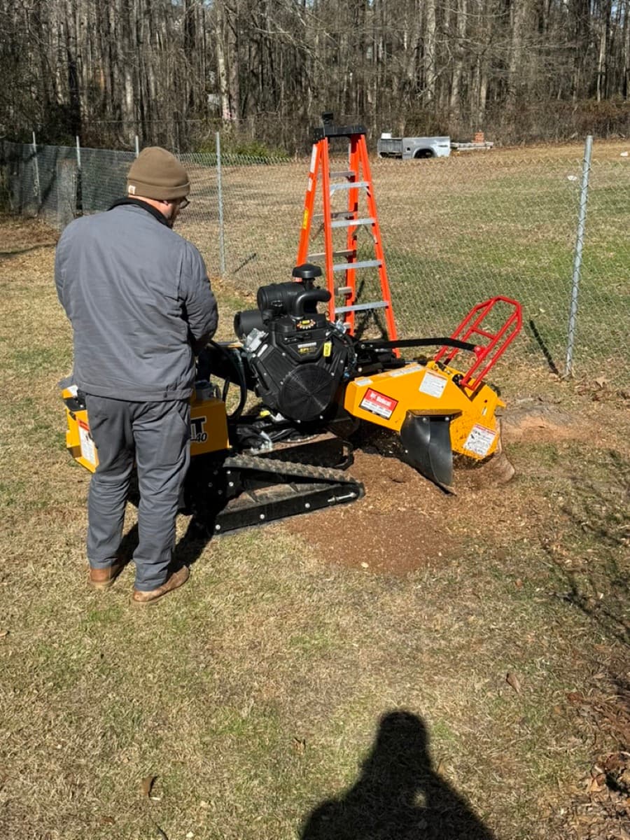 DIY stump grinding vs professional stump grinding comparison