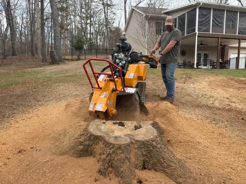 Grinding a large 3-foot oak stump in a residential backyard with Bandit SG-40 in Upstate SC